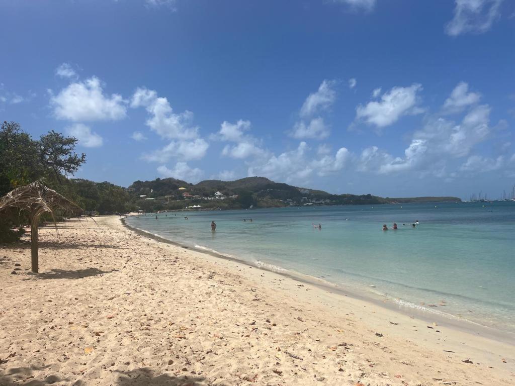 Agreable Appartement En Rez-De-Jardin A 450M De La Mer Sainte-Anne Eksteriør billede